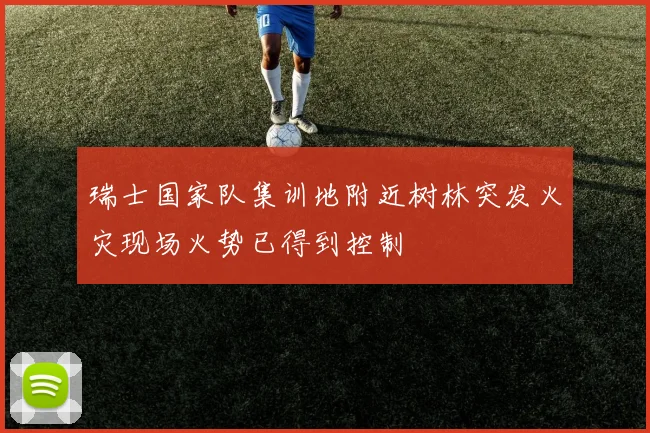 瑞士国家队集训地附近树林突发火灾现场火势已得到控制