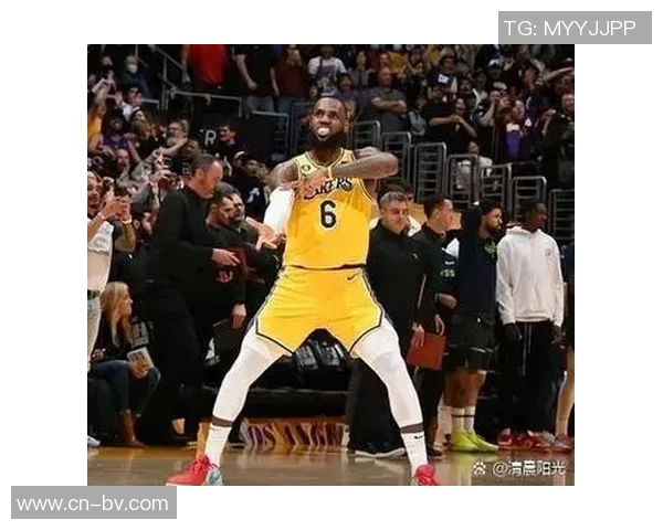 詹姆斯在2025年美国各州NBA球员浏览榜中独占鳌头引发热议